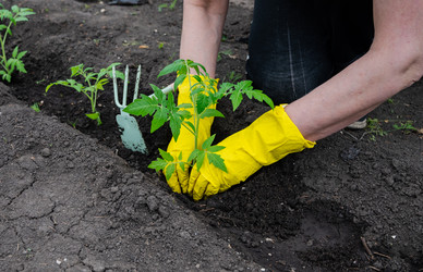 Similar image 22618501