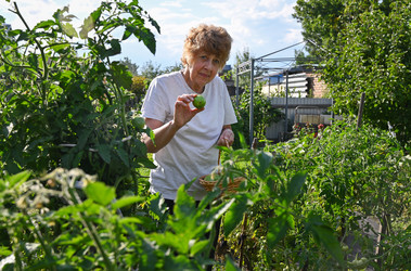 Similar image 22618502