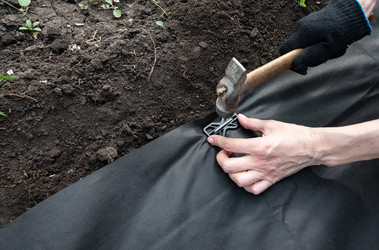 Similar image 22618504