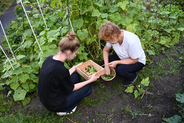 Similar image 22618505