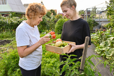 Similar image 22618507