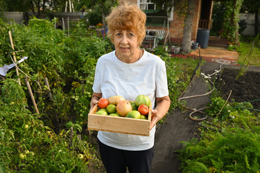 Similar image 22618508