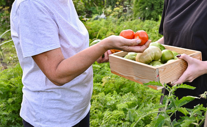 Similar image 22618510