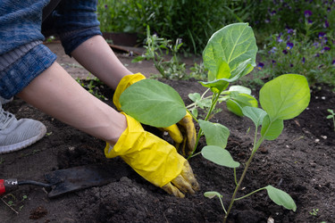 Similar image 22618511