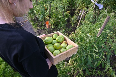 Similar image 22618512