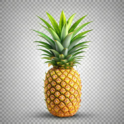 Similar image 22624386