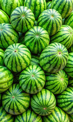 Similar image 22624940