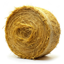 Similar image 22624955