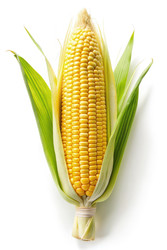 Similar image 22625255