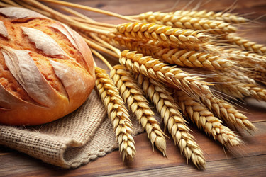 Similar image 22625675