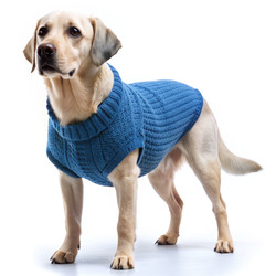 Similar image 22626080