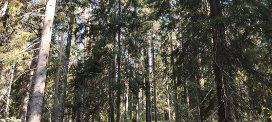 Similar image 22618281