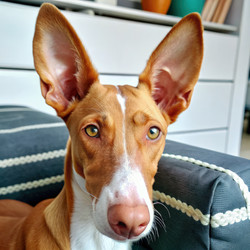 Similar image 22623772