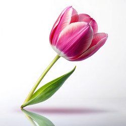 Similar image 22623818