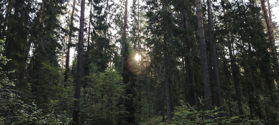 Similar image 22618282