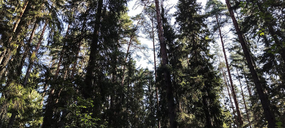 Similar image 22618283