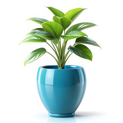 Similar image 22624237