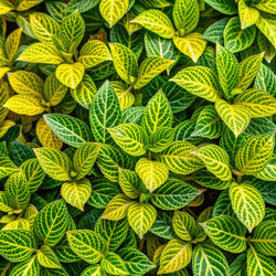 Similar image 22625586