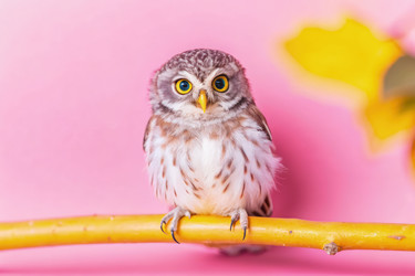 Similar image 22625871