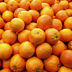 Similar image 22627056