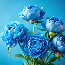 Similar image 22623669