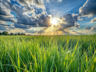 Similar image 22623728