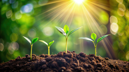 Similar image 22624191