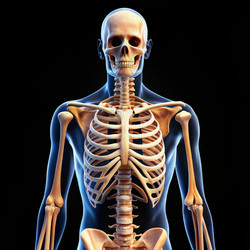 Similar image 22626965