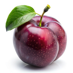 Similar image 22627013