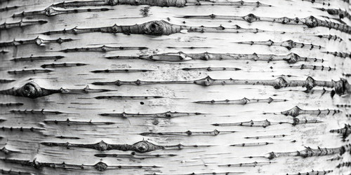 Similar image 22627029