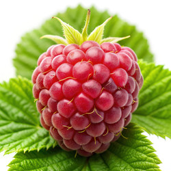 Similar image 22623609