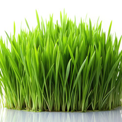 Similar image 22623624