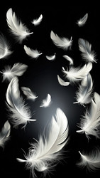 Similar image 22623999