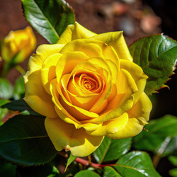 Similar image 22624132