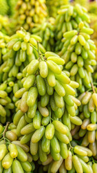 Similar image 22625137