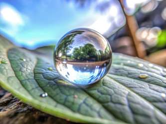 Similar image 22625226