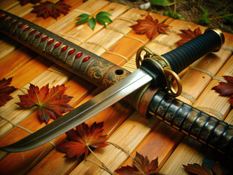 Similar image 22623549