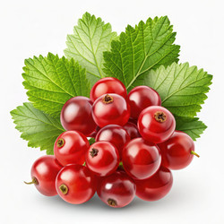 Similar image 22624058