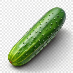 Similar image 22624119