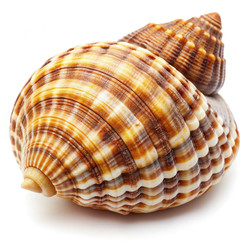 Similar image 22624435