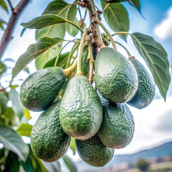 Similar image 22626053