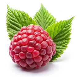 Similar image 22627224