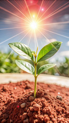 Similar image 22627448