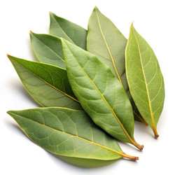 Similar image 22627478