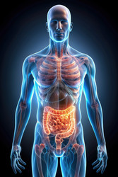 Similar image 22623068