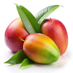 Similar image 22623550