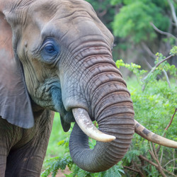 Similar image 22623687