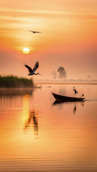 Similar image 22623775