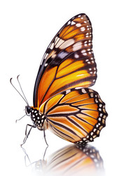 Similar image 22623850