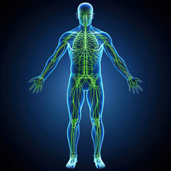 Similar image 22624974